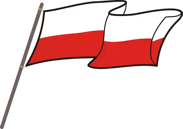 Free download Polish Flag White-Red - Free vector graphic on Pixabay free illustration to be edited with GIMP free online image editor