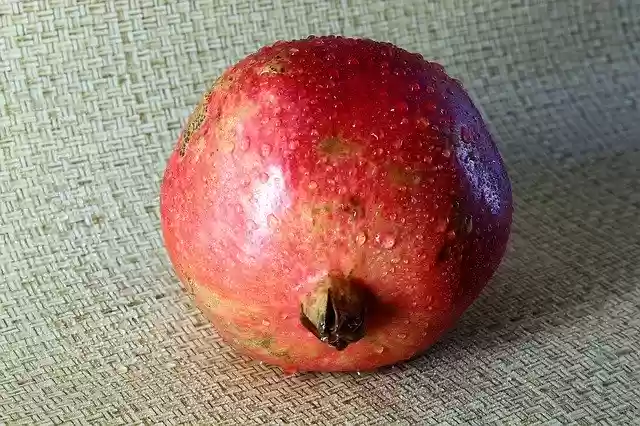 Free download Pomegranate Plant Food -  free photo or picture to be edited with GIMP online image editor