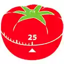 Pomodoro Popup  screen for extension Chrome web store in OffiDocs Chromium