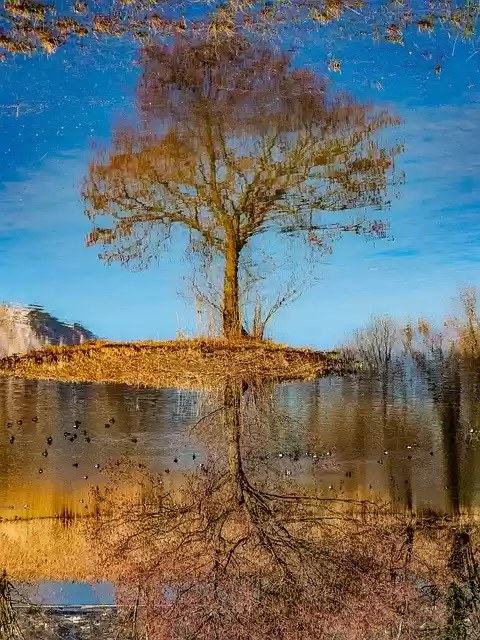 Free download Pond Savoie Reversing -  free free photo or picture to be edited with GIMP online image editor