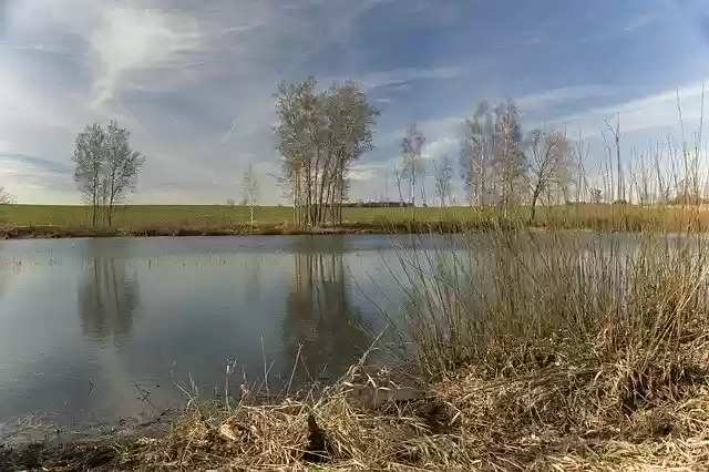 Free download Pond Water Reflection -  free photo or picture to be edited with GIMP online image editor