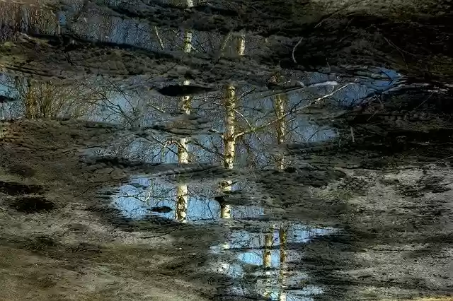 Free download Pool Reflection Mirror -  free photo or picture to be edited with GIMP online image editor