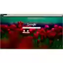 poppies  screen for extension Chrome web store in OffiDocs Chromium