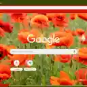 Poppy  screen for extension Chrome web store in OffiDocs Chromium