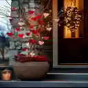 Porch wallpaper  screen for extension Chrome web store in OffiDocs Chromium