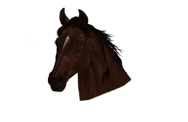 Free download Portrait Horse Head -  free illustration to be edited with GIMP free online image editor