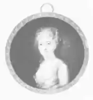 Free download Portrait of a Woman, Said to Be the Comtesse de Guiche free photo or picture to be edited with GIMP online image editor