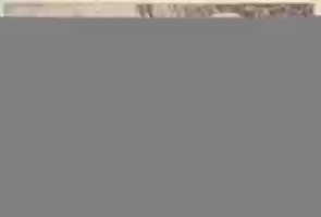 Free download Portrait of Hieronymus Schurstab free photo or picture to be edited with GIMP online image editor