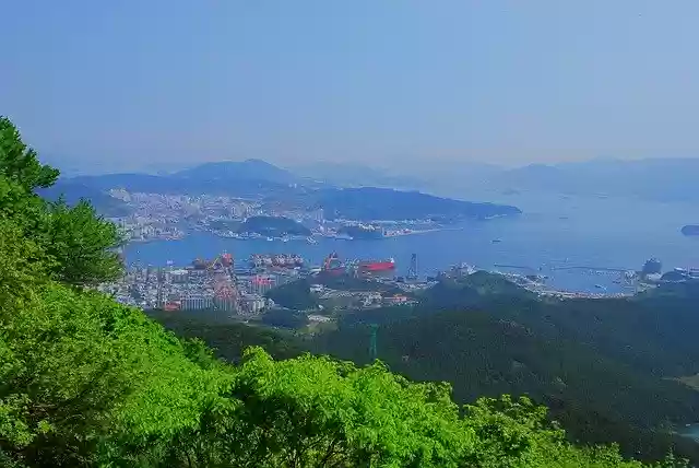 Free download Port Sea Forest -  free photo or picture to be edited with GIMP online image editor