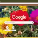Portulaca  screen for extension Chrome web store in OffiDocs Chromium