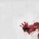 Poster Art  screen for extension Chrome web store in OffiDocs Chromium