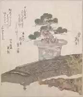 Free download Potted Pine Tree and Koto (Japanese Harp) free photo or picture to be edited with GIMP online image editor