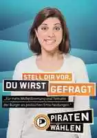 Free download PP Bund Plakate BTW 2013 V 01 free photo or picture to be edited with GIMP online image editor