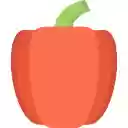 PPE连接器  screen for extension Chrome web store in OffiDocs Chromium