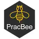 Pracbee Exam Proctoring  screen for extension Chrome web store in OffiDocs Chromium