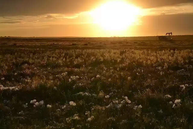 Téléchargement gratuit Prairie Sunset Landscape - photo ou image gratuite à éditer avec l'éditeur d'images en ligne GIMP