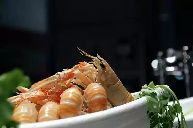 Gratis download Prawn Seafood Shrimp - gratis foto of afbeelding om te bewerken met GIMP online afbeeldingseditor