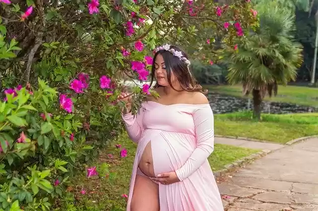 Free download Pregnant Woman Maternity -  free photo or picture to be edited with GIMP online image editor