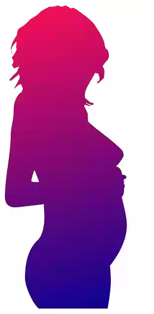 Free download Pregnant Woman Women -  free illustration to be edited with GIMP free online image editor