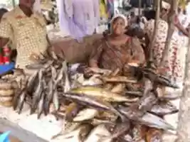 Free download PREKESE GHANAMEDIA (ICACA) PRESENTS GHANA MUKAASE free photo or picture to be edited with GIMP online image editor