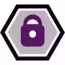 PrivacyGPT  screen for extension Chrome web store in OffiDocs Chromium