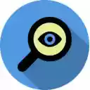 Privacyst  screen for extension Chrome web store in OffiDocs Chromium