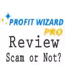 Profit Wizard Pro Review  screen for extension Chrome web store in OffiDocs Chromium