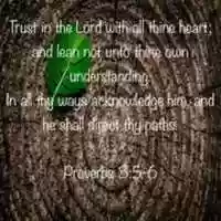 Free download Proverbs 3:5-6 free photo or picture to be edited with GIMP online image editor