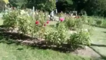 GIMP 온라인 이미지 편집기로 편집할 수 있는 Public Gardens 무료 사진이나 그림을 무료로 다운로드하세요