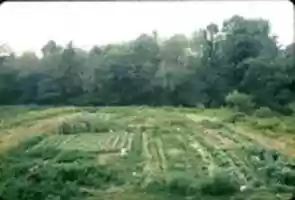Free download Pulsa Gardens Harmony Ranch 1970 free photo or picture to be edited with GIMP online image editor