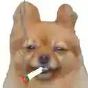 Pumafy  screen for extension Chrome web store in OffiDocs Chromium