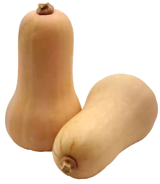 Free download Pumpkin Butternut Food -  free photo or picture to be edited with GIMP online image editor