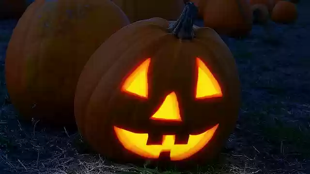 Free download pumpkin face halloween field free picture to be edited with GIMP free online image editor