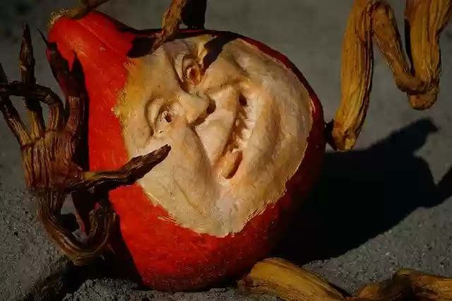 Free download Pumpkin Figure Creature -  free free photo or picture to be edited with GIMP online image editor