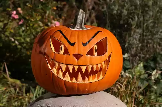 Free download pumpkin halloween fall orange face free picture to be edited with GIMP free online image editor