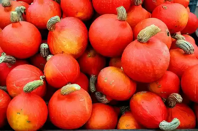 Free download Pumpkin Orange Decoration -  free photo or picture to be edited with GIMP online image editor