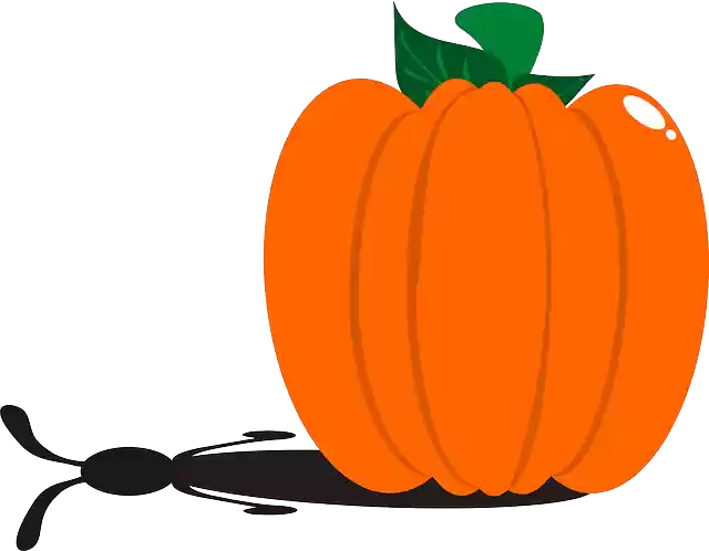 Free download Pumpkin Rabbit Halloween - Free vector graphic on Pixabay free illustration to be edited with GIMP free online image editor
