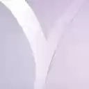 Puncinator  screen for extension Chrome web store in OffiDocs Chromium