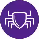 Punkspider Browser Extension (Beta)  screen for extension Chrome web store in OffiDocs Chromium