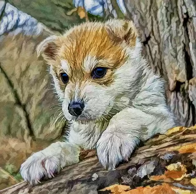 Free download Puppy Dog Pet -  free photo or picture to be edited with GIMP online image editor