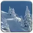 Pure Wintry White  screen for extension Chrome web store in OffiDocs Chromium