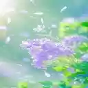 Purple flower cluster wallpaper  screen for extension Chrome web store in OffiDocs Chromium