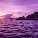Purple Sea  screen for extension Chrome web store in OffiDocs Chromium