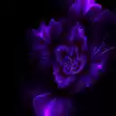 Purple theme www.Themeforchorme.com  screen for extension Chrome web store in OffiDocs Chromium