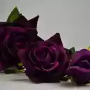 Purple velvet roses  screen for extension Chrome web store in OffiDocs Chromium