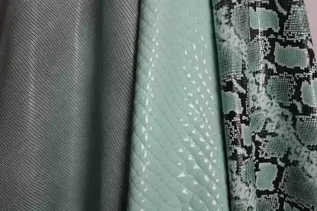 Free download Python Coconut Lizard -  free photo or picture to be edited with GIMP online image editor