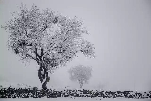 Free download Qom Province Iran Landscape Tree -  free photo or picture to be edited with GIMP online image editor
