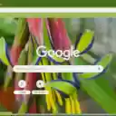 Queen’s Tears  screen for extension Chrome web store in OffiDocs Chromium