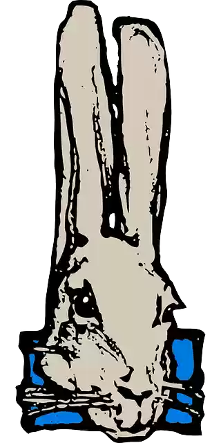 Free download Rabbit Bunny Hare - Free vector graphic on Pixabay free illustration to be edited with GIMP free online image editor