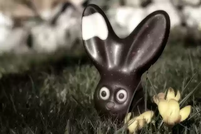 Free download rabbit easter bunny chocolate sweet free picture to be edited with GIMP free online image editor